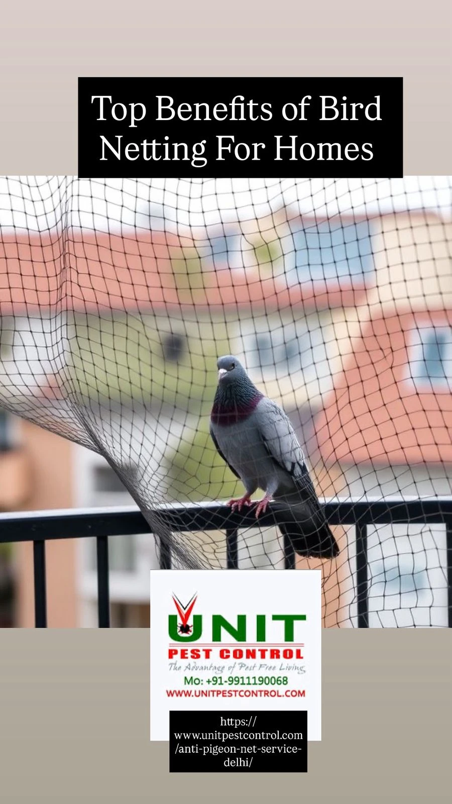 Top Benefits of Bird Netting for Homes