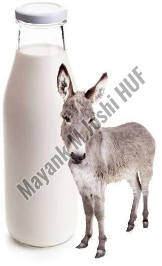 Pure Donkey Milk: A Guide to Its Benefits