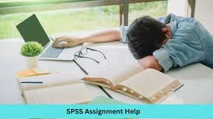 SPSS Data Analysis Help: Your Step-by-Step Guide to A+ Assignments