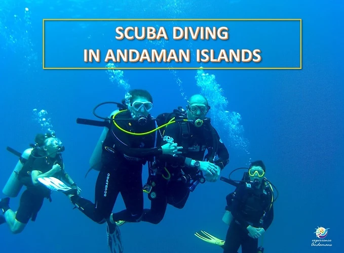 Discover Scuba Diving in Andaman: Best Spots, Prices & Tips for Beginners