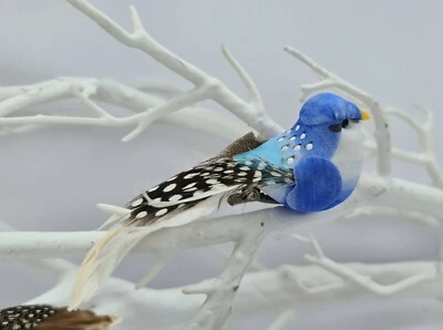 Pure Feather Aviary: A Celebration of Fall Colors and Birds