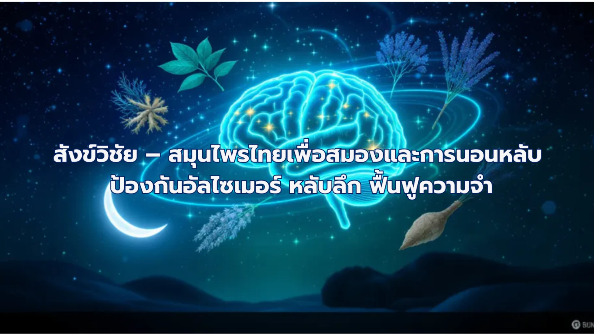 สมุนไพรไทยสมองป้องกันอัลไซเมอร์ ฟื้นฟูความจำ