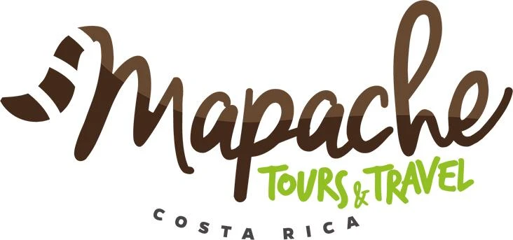 Experience the Adventure: Your Ultimate Guide to Costa Rica Vacation Packages with Mapache Tours