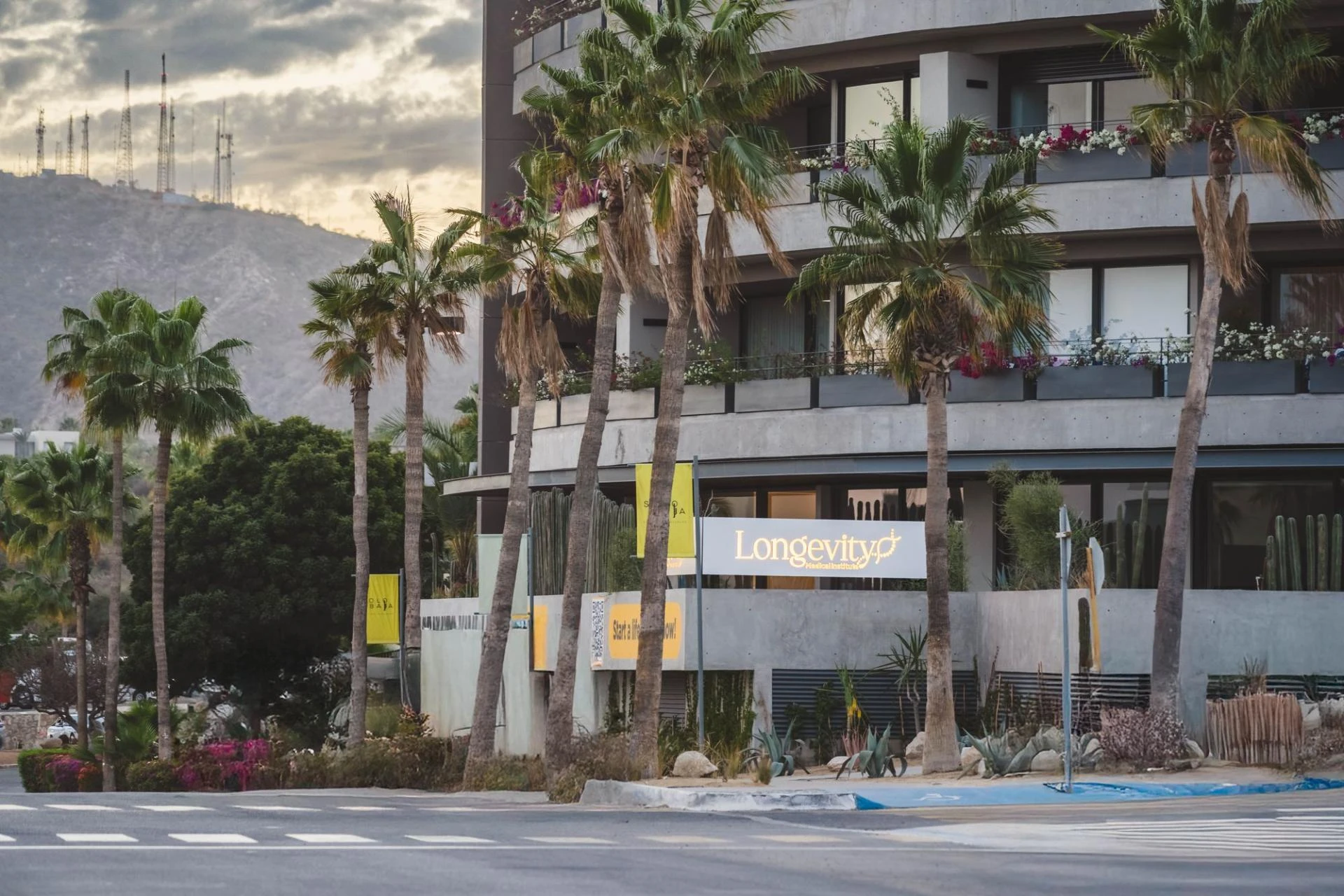 Best Stem Cell Clinic in Los Cabos and the Rise of Peptide Therapy for Regenerative Health