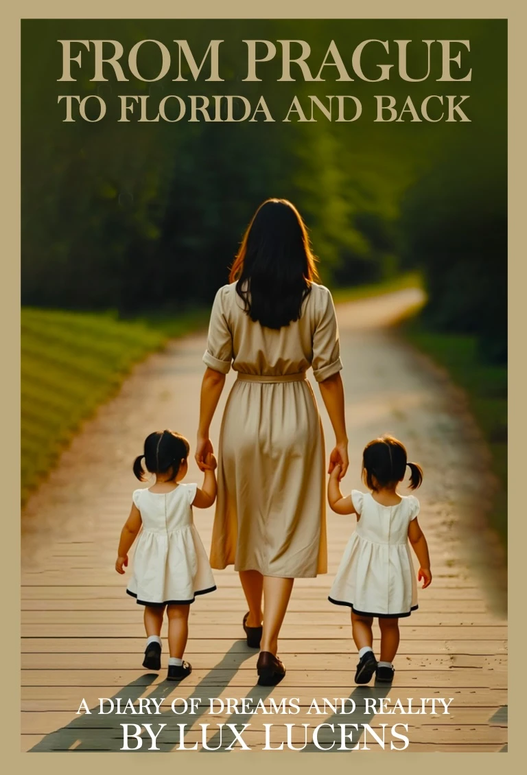 An Immigrant’s Survival Journey: Dreams vs. Reality in the USA