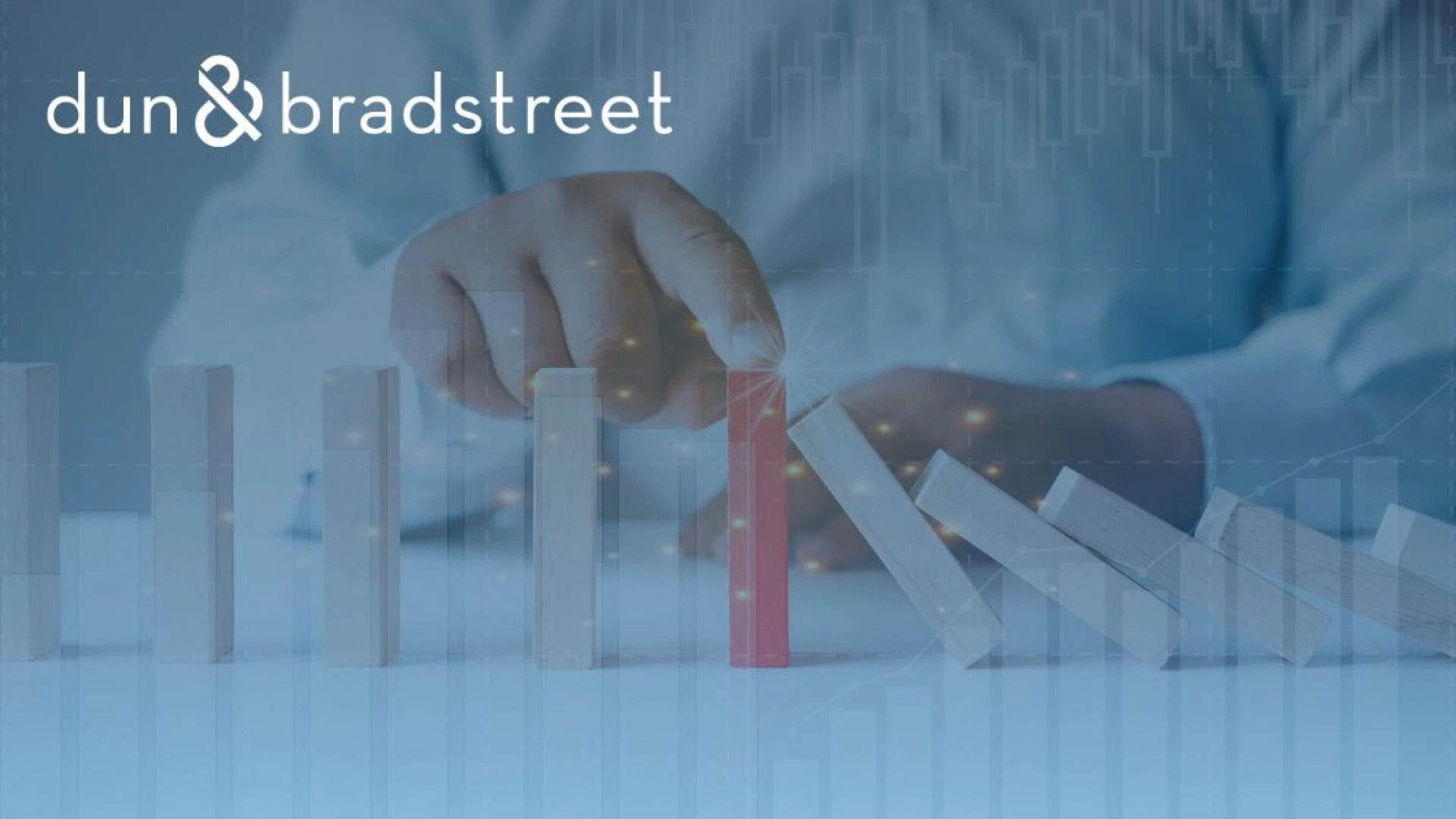 Risk Management Services Every Egyptian Business Should Use in 2025