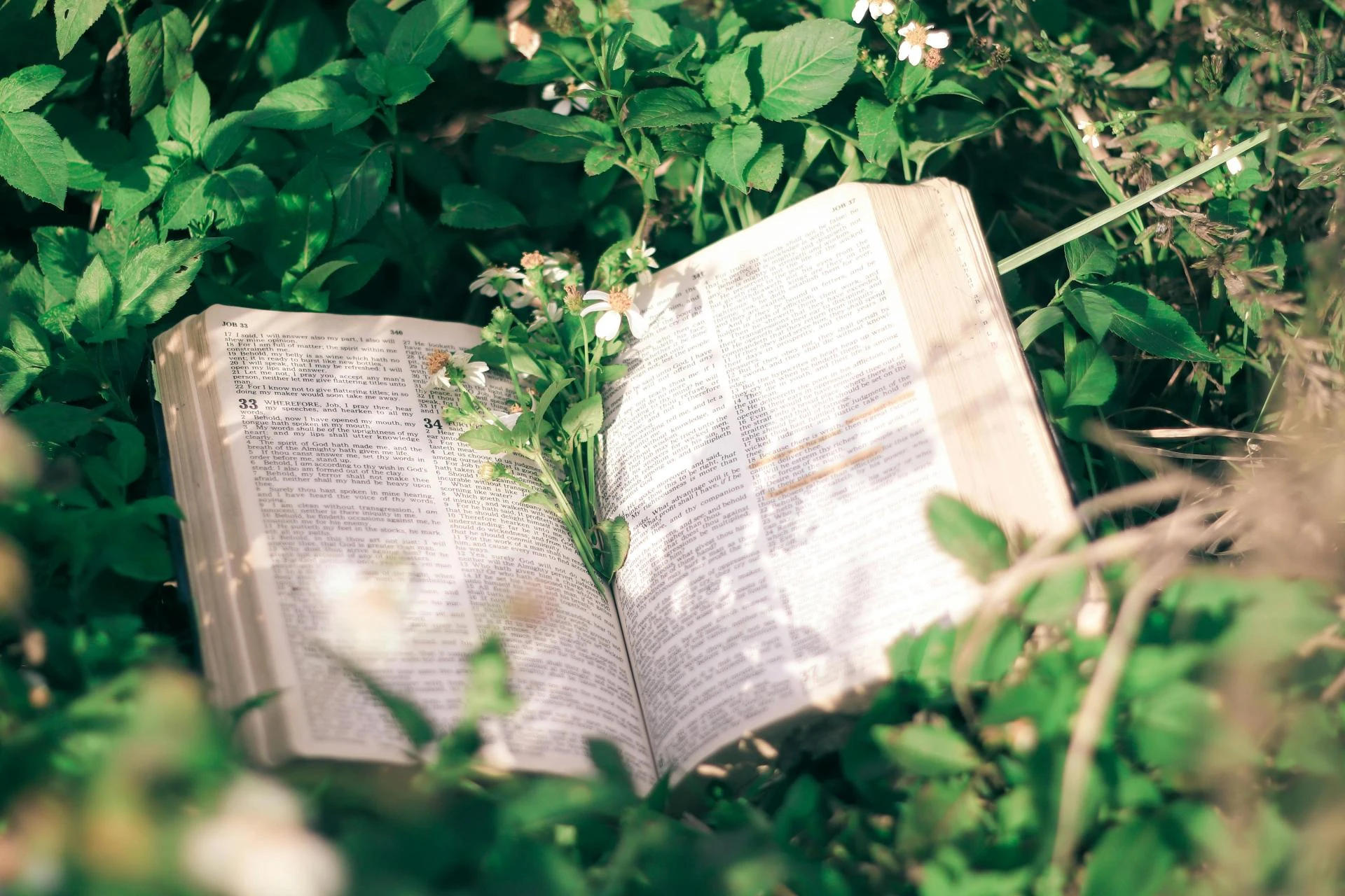 How the SOAP Bible Study Method Can Transform Your Daily Time in Scripture