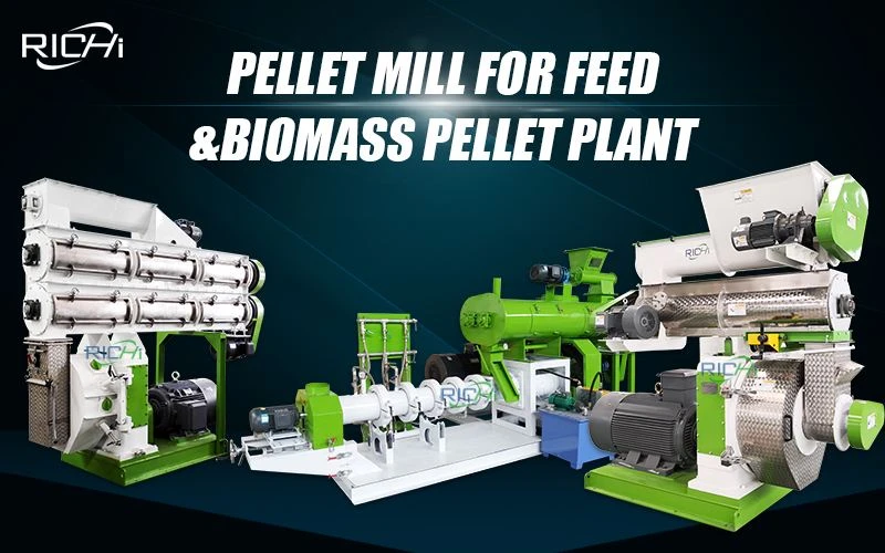 Feed Pellet Equipment South Africa for Livestock and Fowl Farming