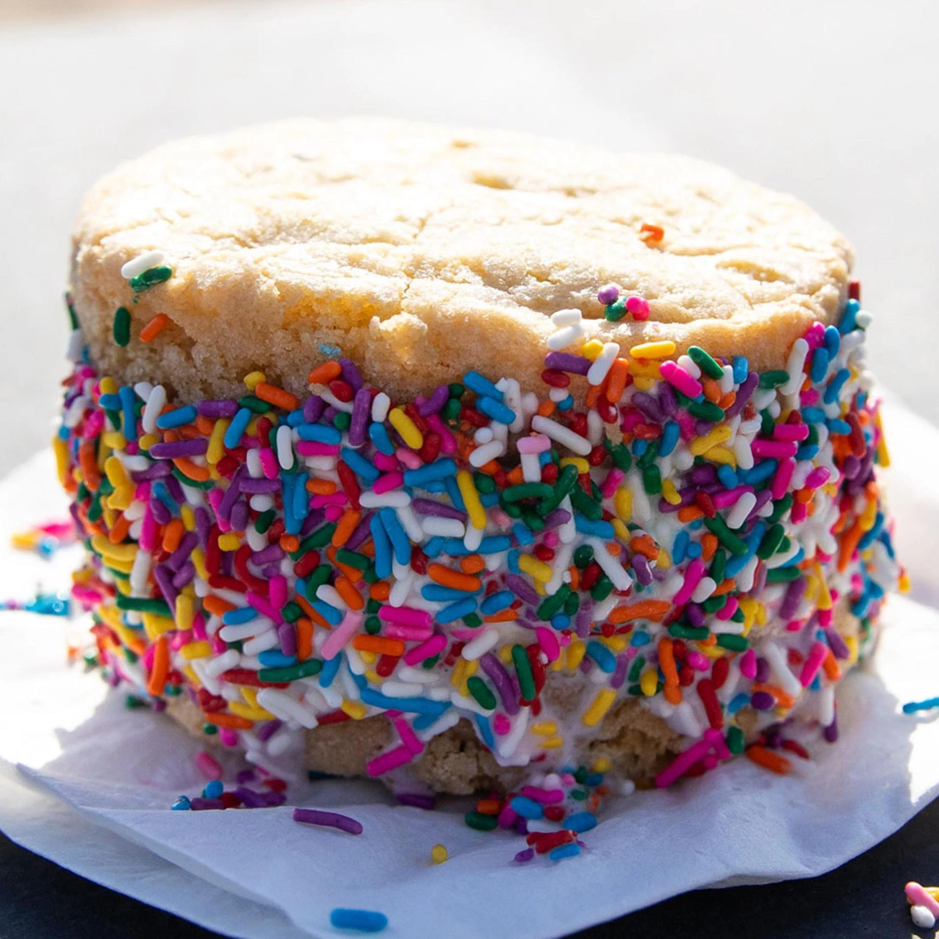 Ice Cream Sandwiches: A Cool Twist on a Classic Treat