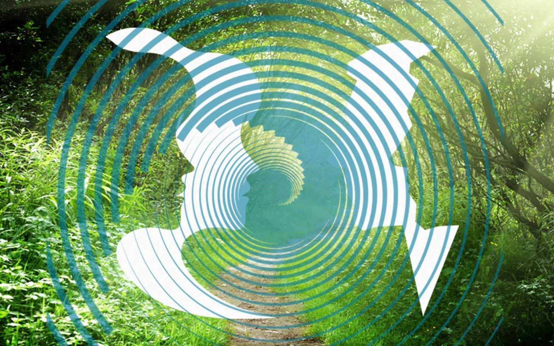 NYC Hypnotherapy Certification Programs