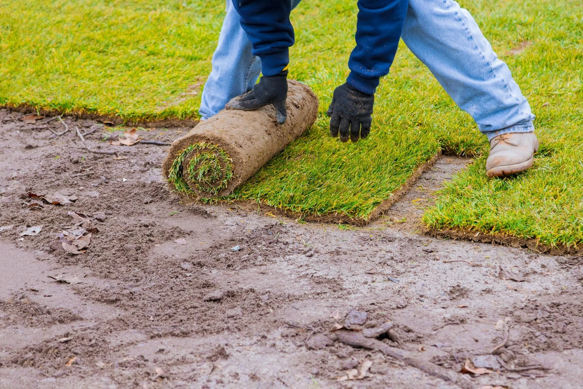 How to Maintain Sod During the Summer Months