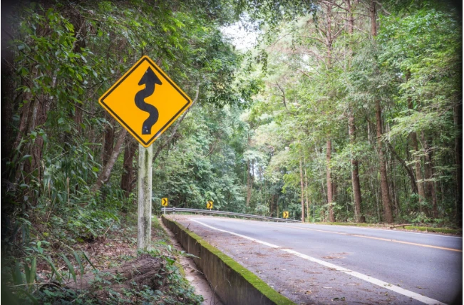 Cross Country Moving Services in Florida – What to Expect