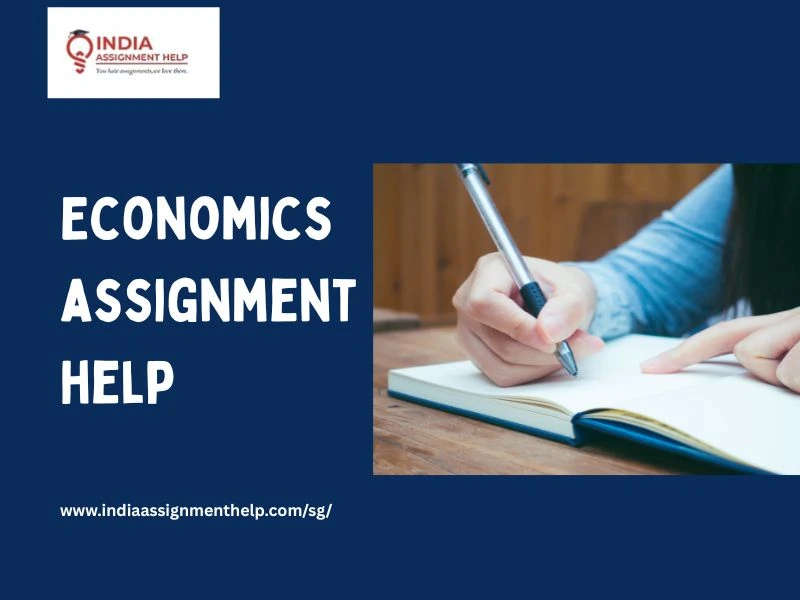 Economics Assignment Help: Developing Problem-Solving Skills Through Assignment Help