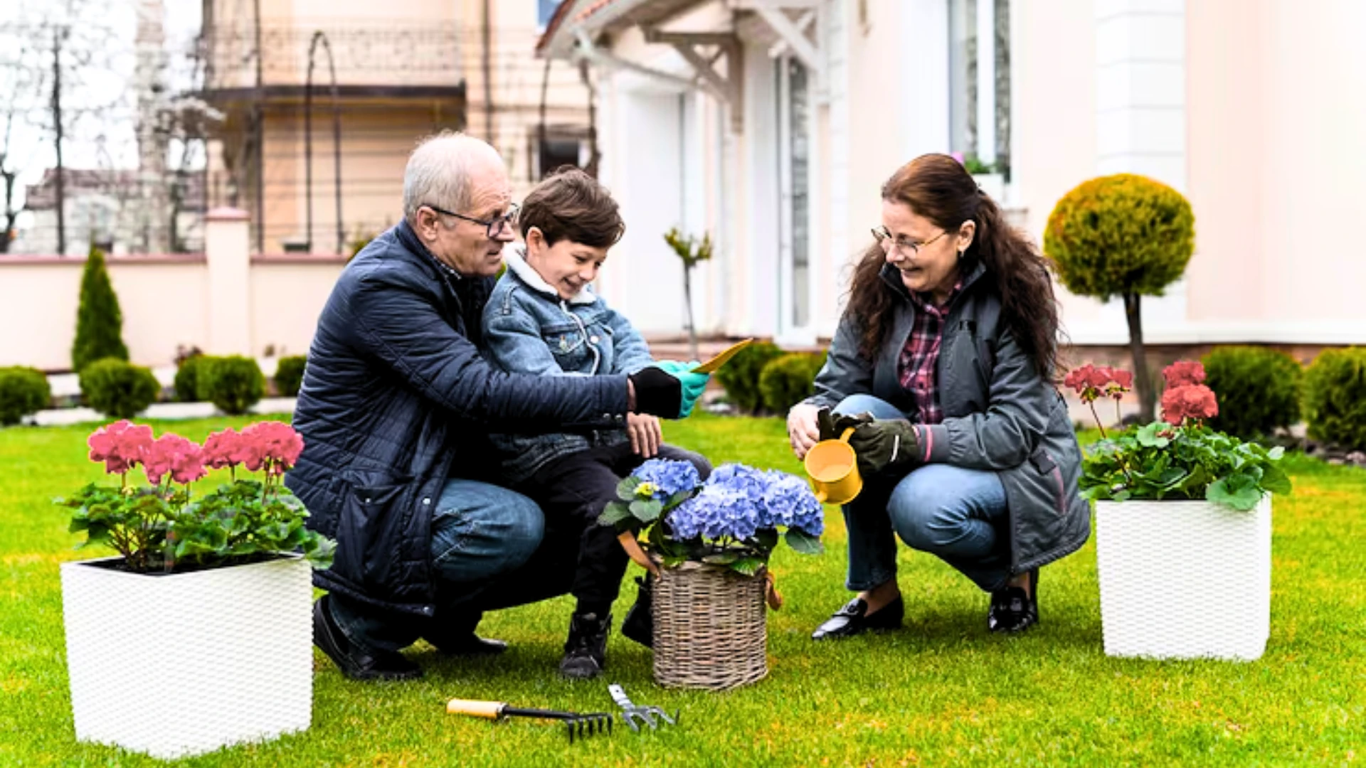 Affordable Landscaping Ideas for First-Time Homeowners: Transform Your Yard on a Budget