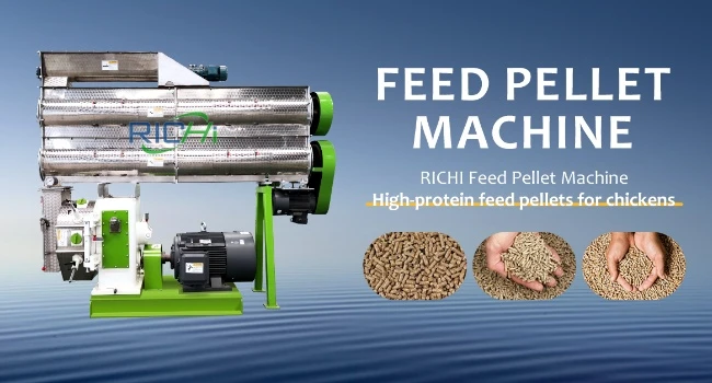 Advanced Livestock Feed Pellet Maker for Economical Animal Nutrition and Lasting Farming