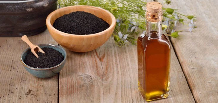 Draft: My Post TitleKenaf Seed Oil Market Future Outlook: Key Trends, Demand Forecasts, and Investment Analysis