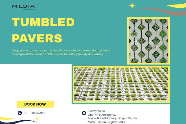 Preventing Weed Growth Between Tumbled Pavers: Effective Strategies