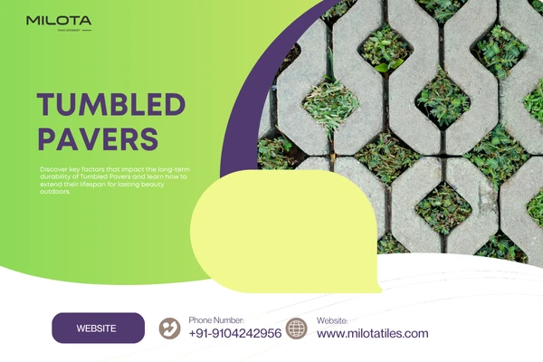 Long-Term Durability: What Affects the Lifespan of Tumbled Pavers?