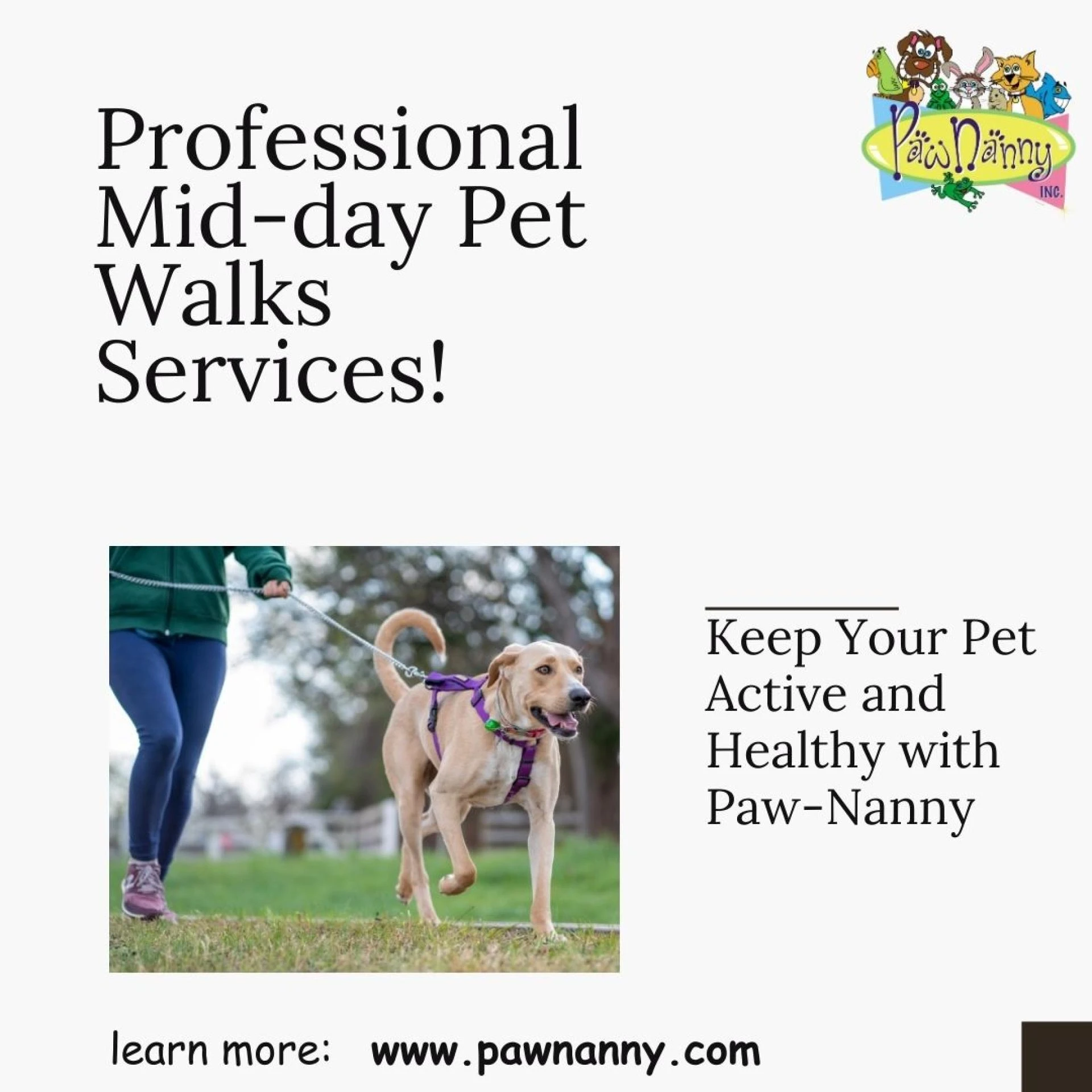 Working Late? Here’s Why Mid-Day Walks Are a Lifesaver for Fairfax Pet Owners