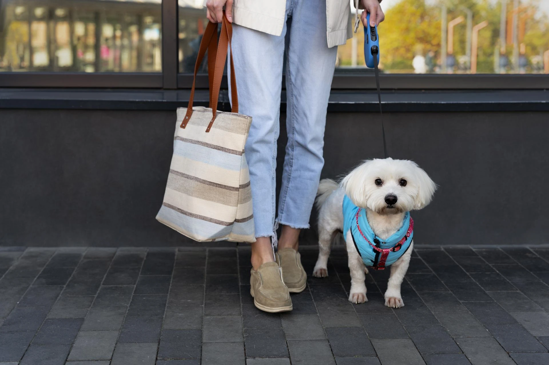 Why Hands Free Dog Leash Bag India is Gaining Popularity Among Trainers and Pet Lovers