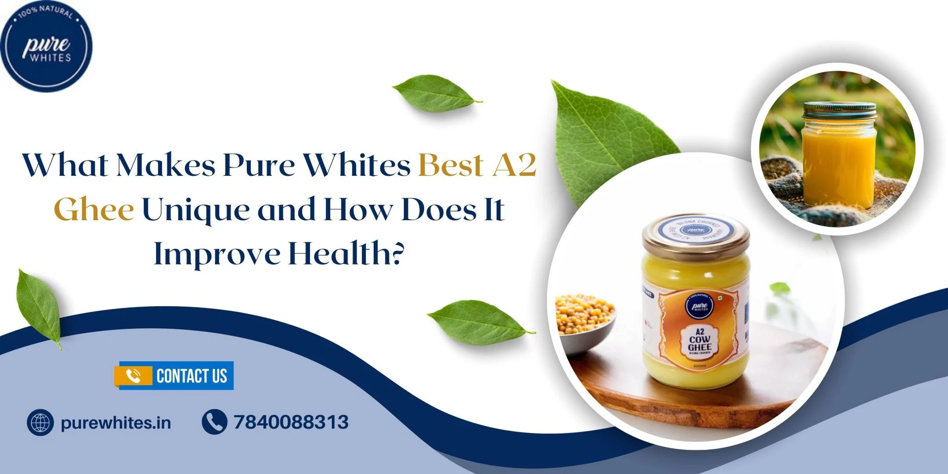 What Makes Pure Whites Best A2 Ghee Unique and How Does It Improve Health?
