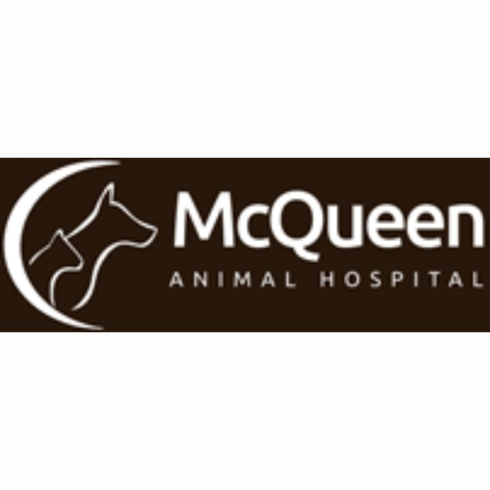 How Do You Choose the Best Vet in Brampton for Your Beloved Pet?