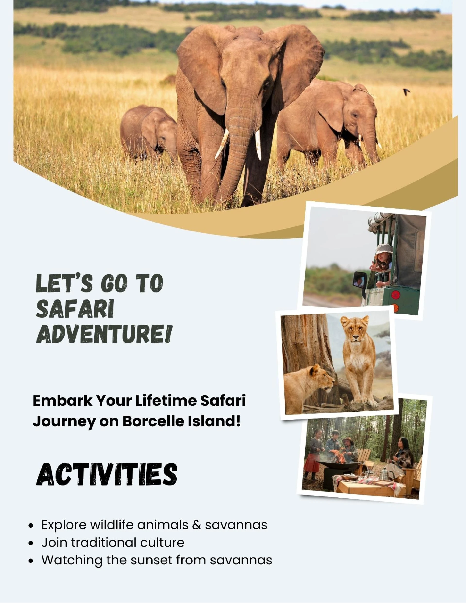 Best Safari Company in Tanzania for Memorable Adventures