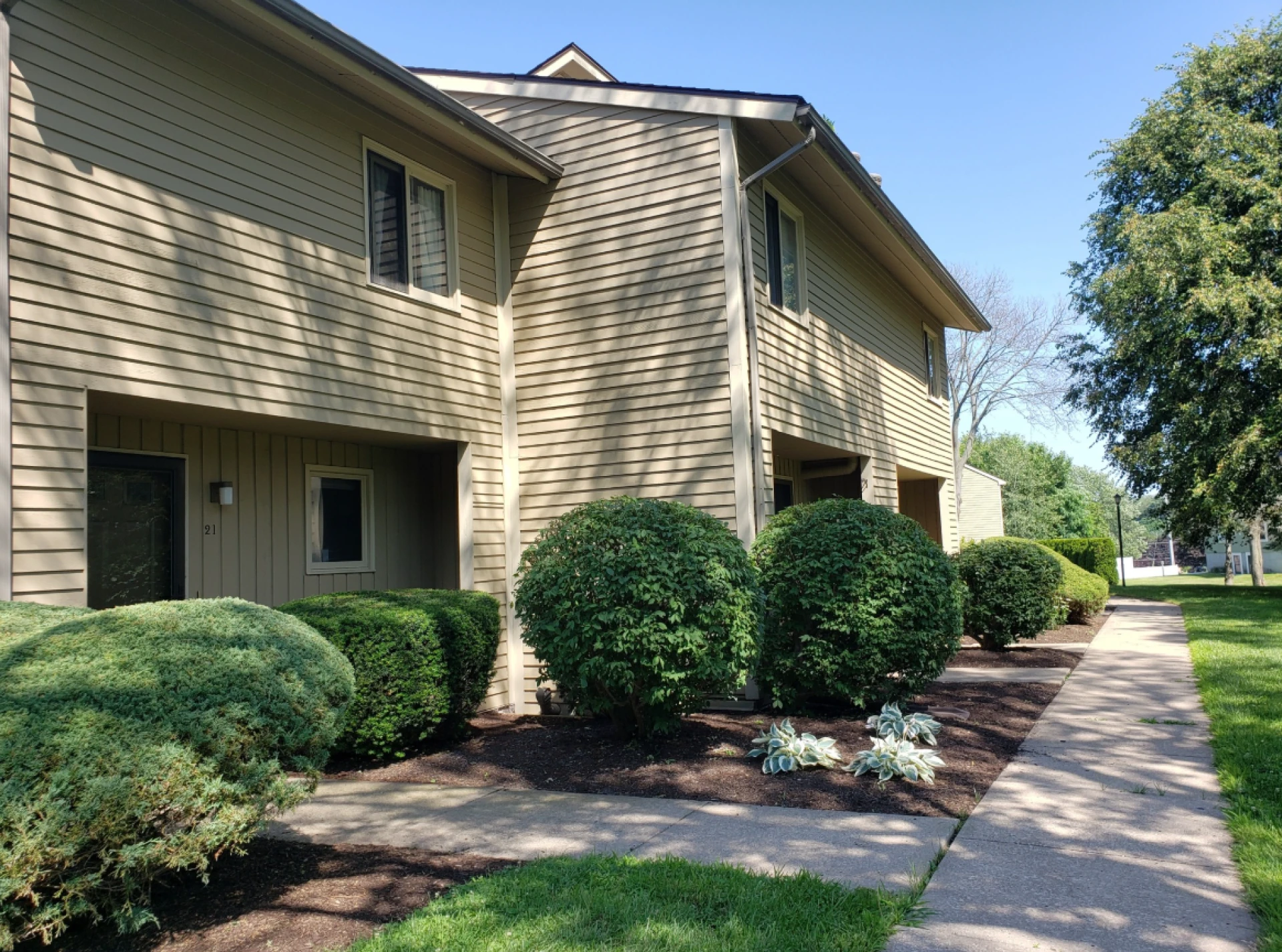 SUNY Oswego Housing: A Complete Guide to On-Campus Living and Rental Apartments in Oswego