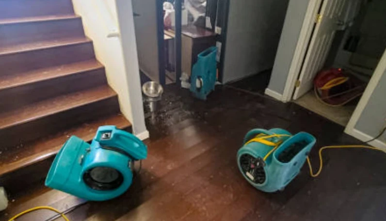 Top 10 Common Causes of Water Damage in Homes – Water Damage Restoration & Mold Remediation in Katy, TX