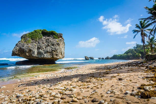 The best beaches in Barbados that you should not miss 