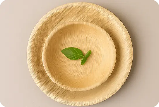 Sustainable Tableware: A Greener Choice for Dining