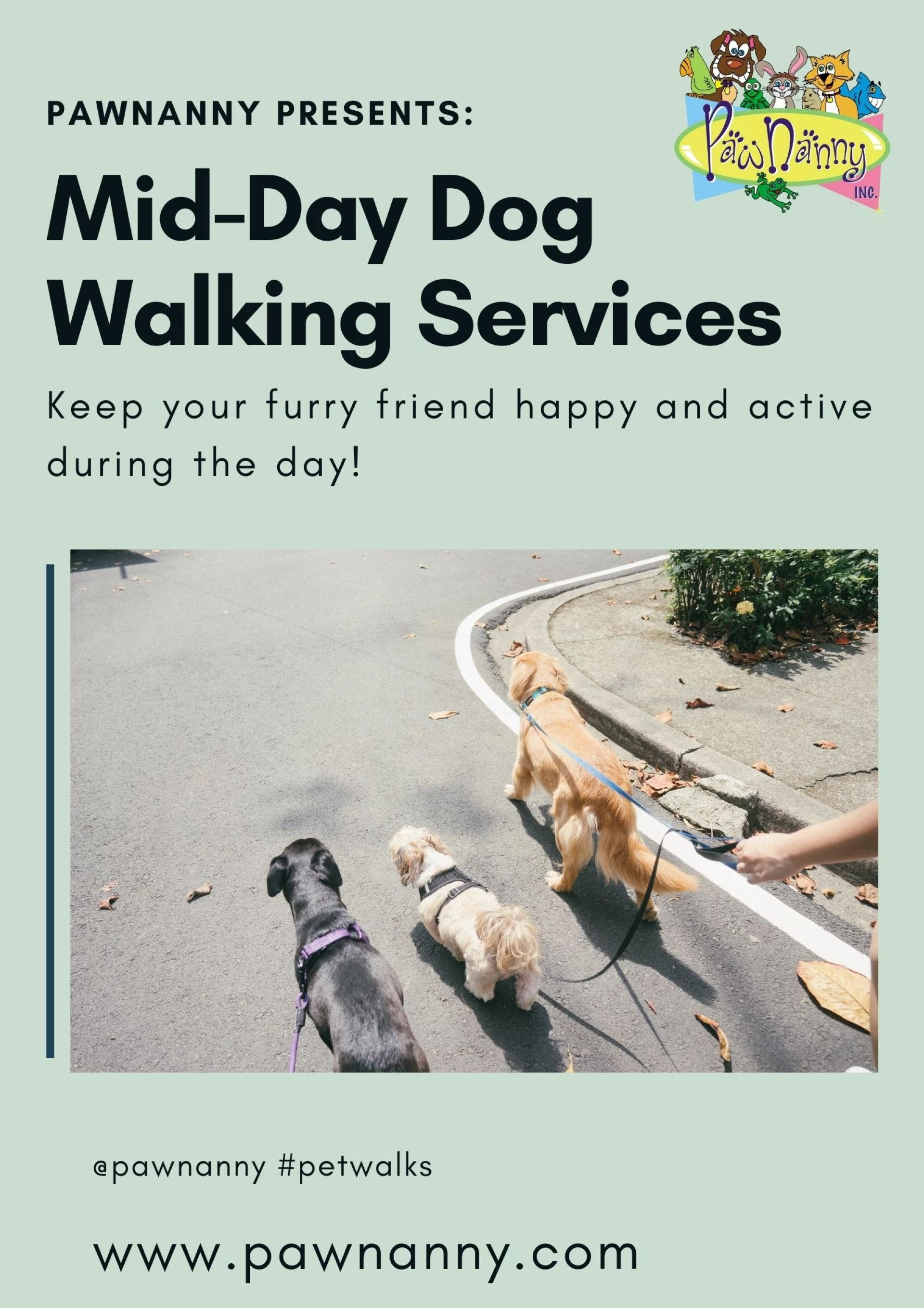 Why Pet Owners In Loudoun County Choose Mid-day Walks?