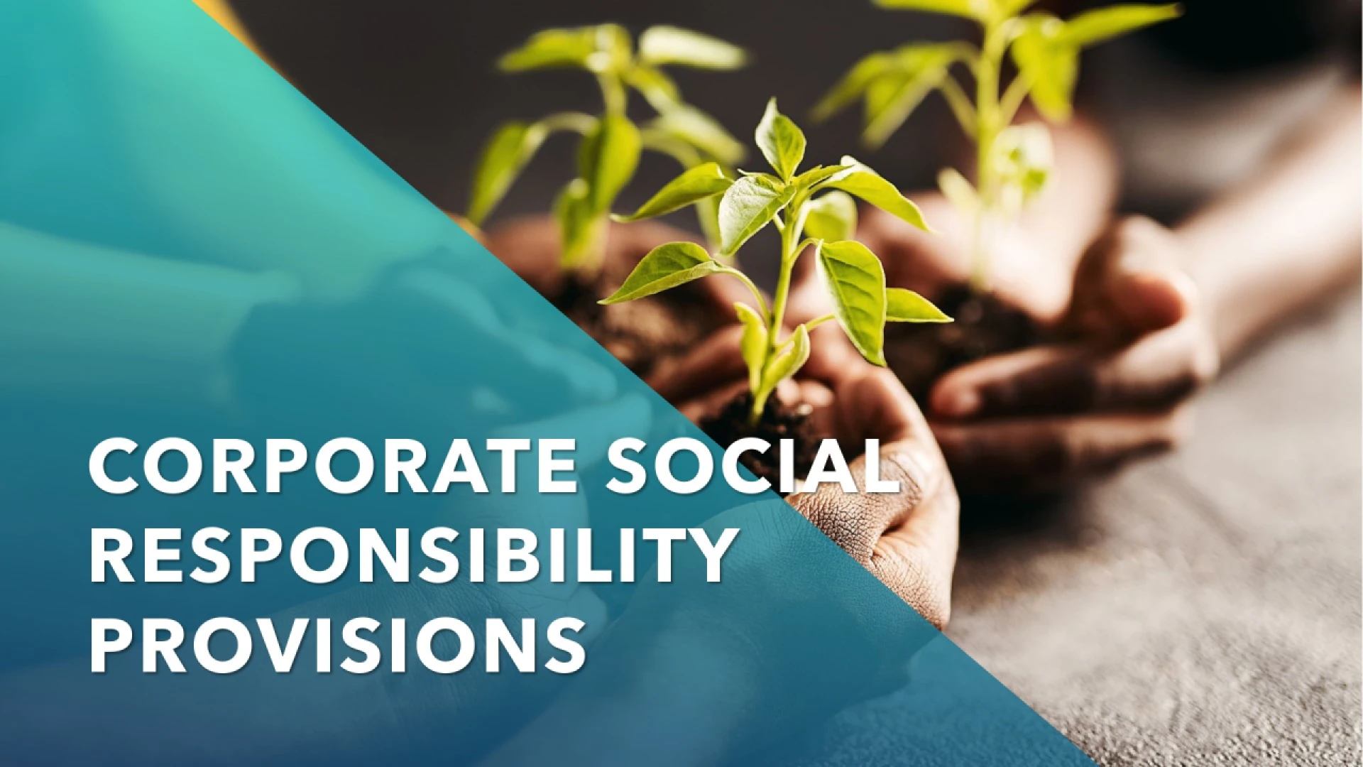 Turning Good Intentions into Meaningful Action: The Story of Companies for GoodDraft: My Post Title