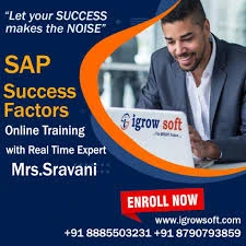  Once a Success Factor has been chosen for a role can it be changed?