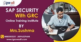 How does SAP GRC support continuous monitoring and auditing?