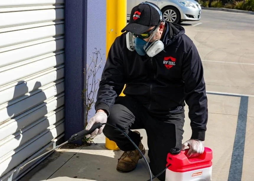 How Can Pest Control Safeguard Cafes and Warehouses from Risk?