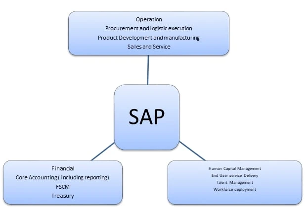 How Can SAP Bookkeeping Services Transform Your Financial Management?