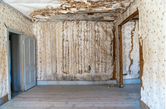 Water Damage Restoration in Manitou Springs, CO: Myths and Facts Every Property Owner Should Know