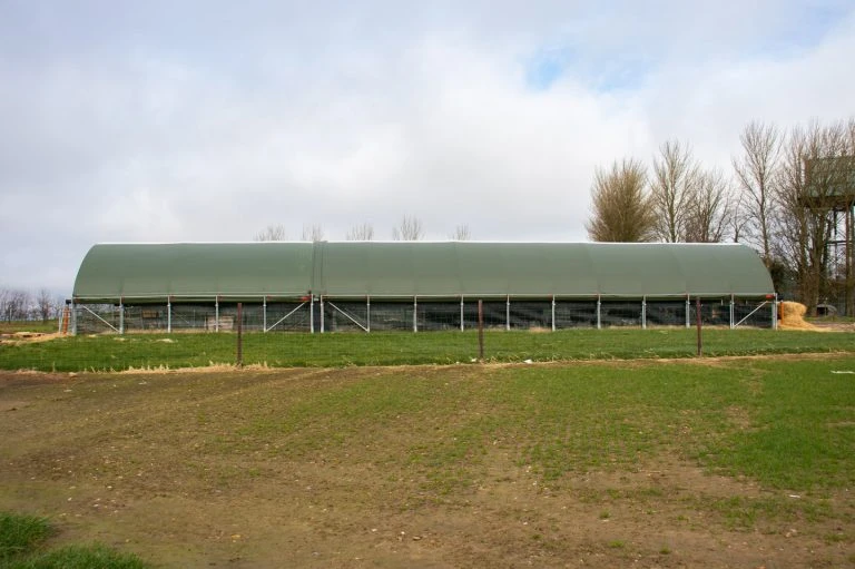 Wie Rundhallen für die Landwirtschaft helfen, Tierwohl-Vorgaben einzuhalten