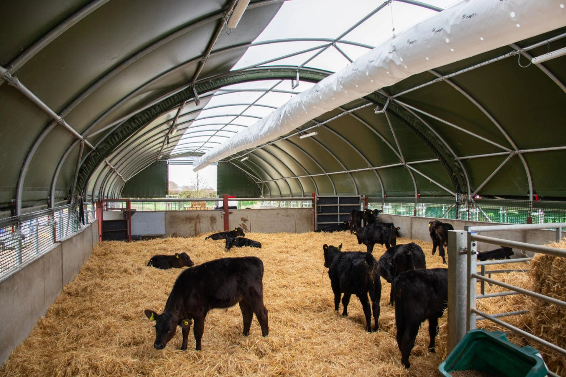  Housing for cows: Reduce mastitis risk | McGregor Structures 