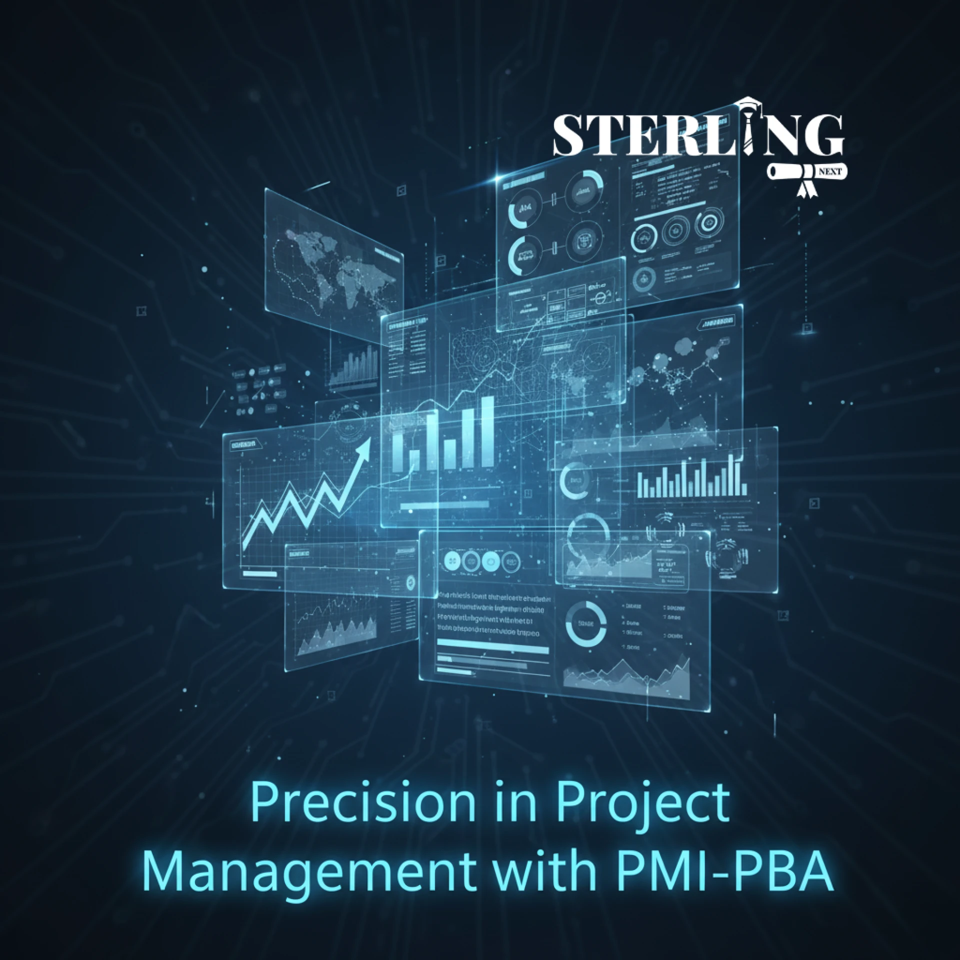 Precision in Project Management with PMI-PBA Certification