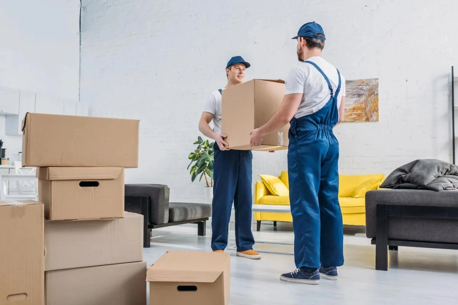 Facts That Make a Residential Apartment Moving Quote Essential for Moving