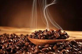 Behind the Roast: A Day in the Life of Our Head Roaster