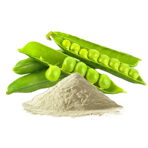 Pea Fiber Market Expansion Driven by Rising Demand for Natural Ingredients in Processed Food Products