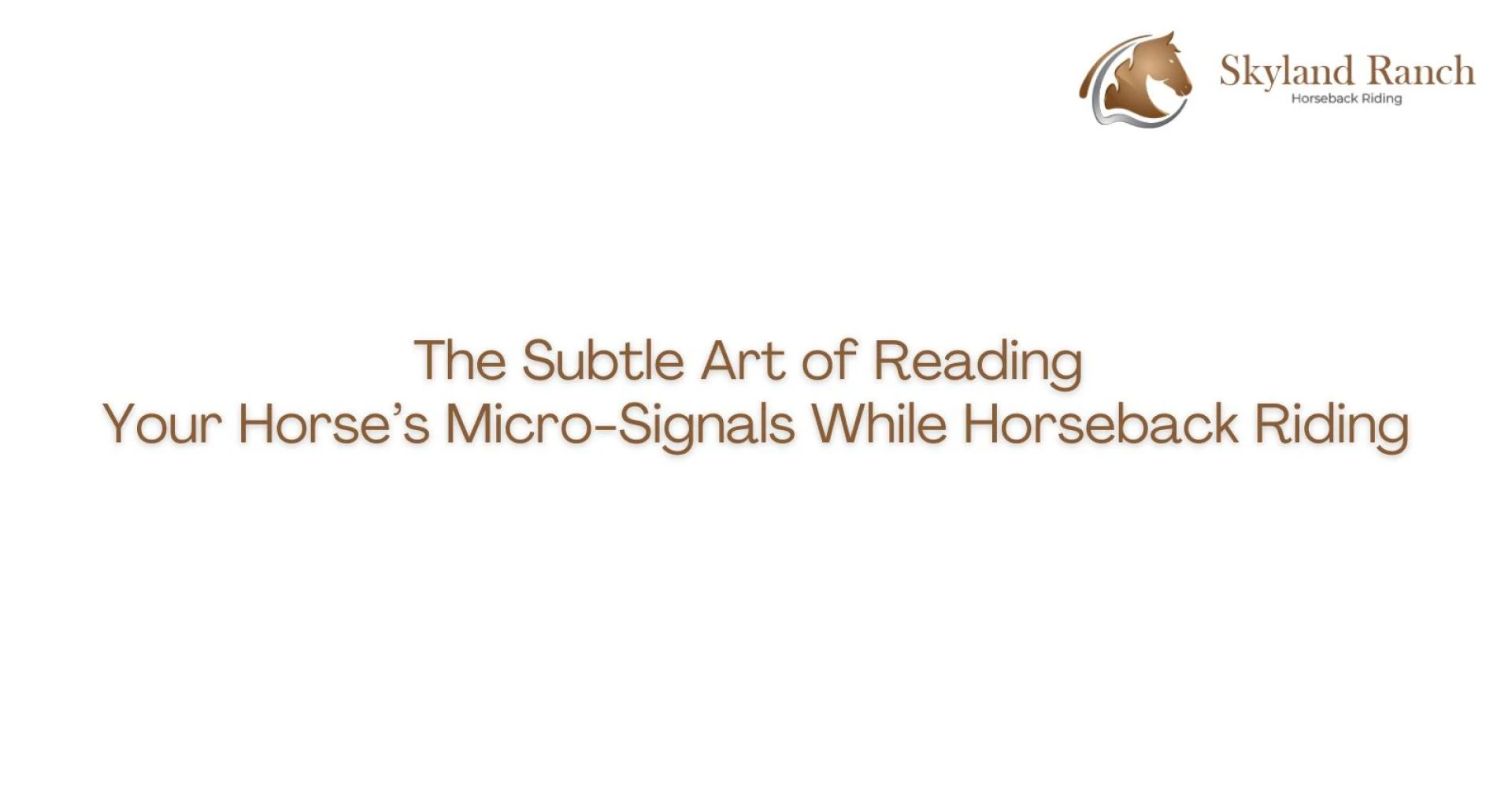 The Subtle Art of Reading Your Horse’s Micro-Signals While Horseback Riding