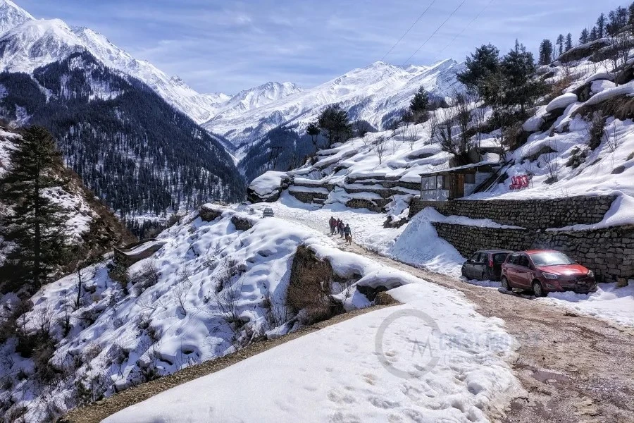 Book the Best Shimla Tour Packages: Your Ultimate Guide to a Himalayan Adventure