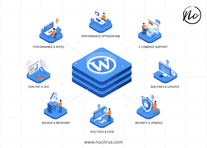 Keep Your WordPress Website Optimized with Expert Support