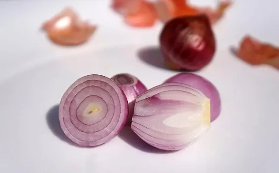 IQF Onions: The Complete Guide to Individually Quick Frozen Onions for Global Food Industries