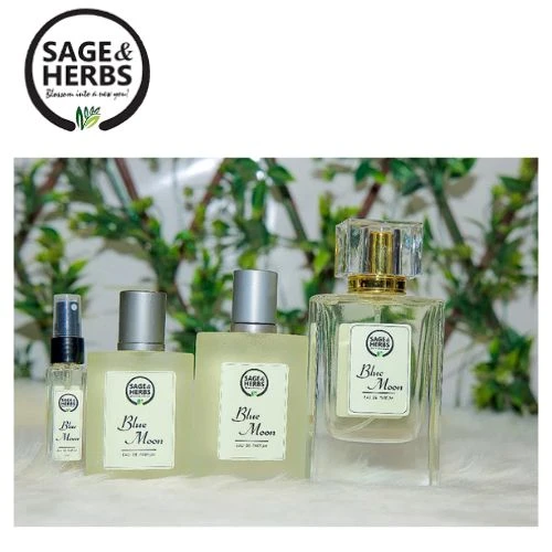 Blue Moon Perfume – A Fragrance That Captures the Magic of the Night