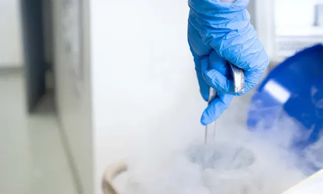 Is an Egg Donor Bank Worth It? Comparing Costs, Success Rates, and Benefits